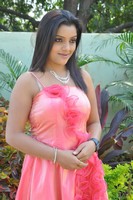 Padmini Gallery